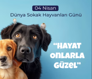 Dünya Sokak Hayvanları Günü Sosyal Medya Tasarımı